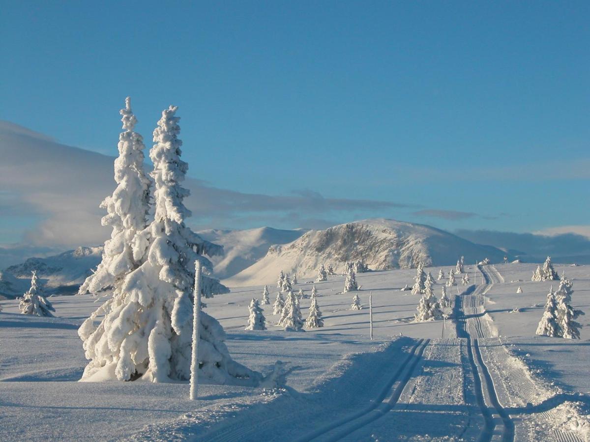 Perfect Moutain Getaway! Beautiful Apartment At Skagahogdi With Panoramic View Gol Eksteriør bilde