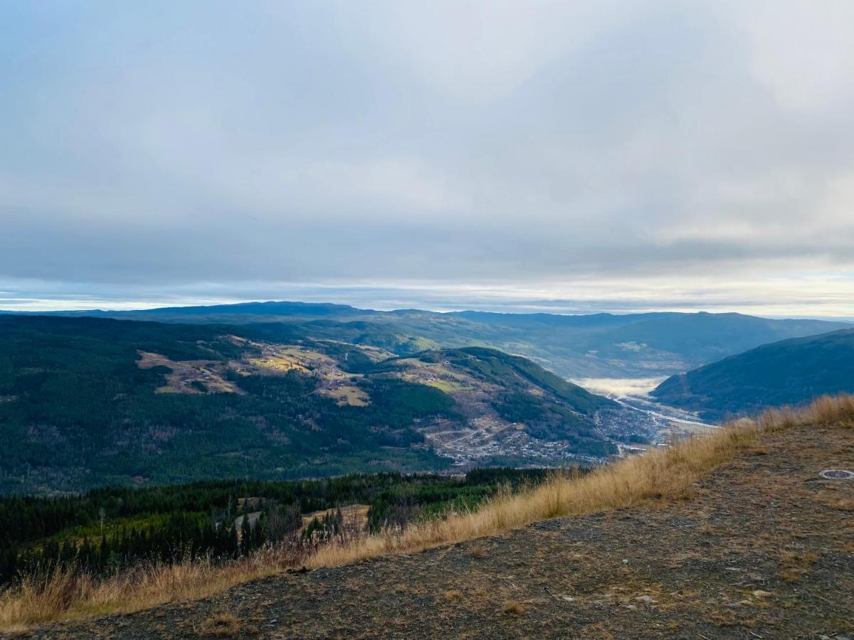 Perfect Moutain Getaway! Beautiful Apartment At Skagahogdi With Panoramic View Gol Eksteriør bilde