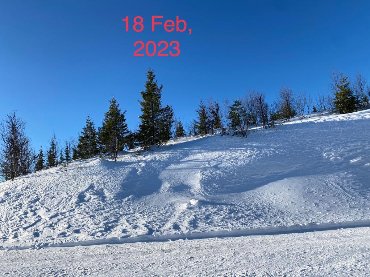 Perfect Moutain Getaway! Beautiful Apartment At Skagahogdi With Panoramic View Gol Eksteriør bilde