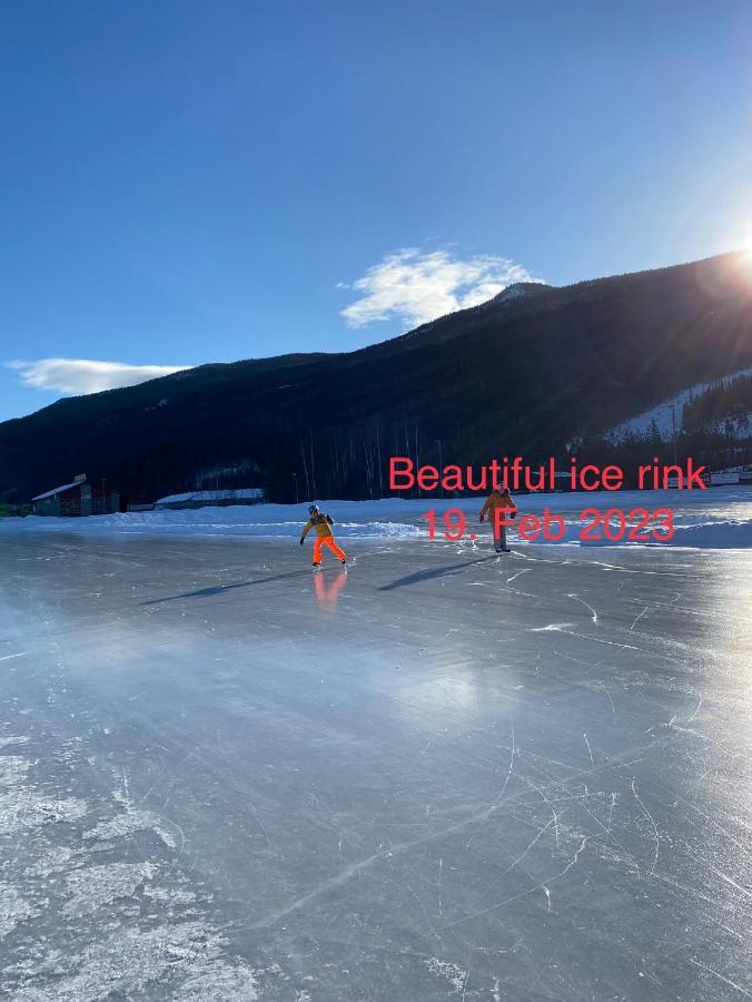Perfect Moutain Getaway! Beautiful Apartment At Skagahogdi With Panoramic View Gol Eksteriør bilde