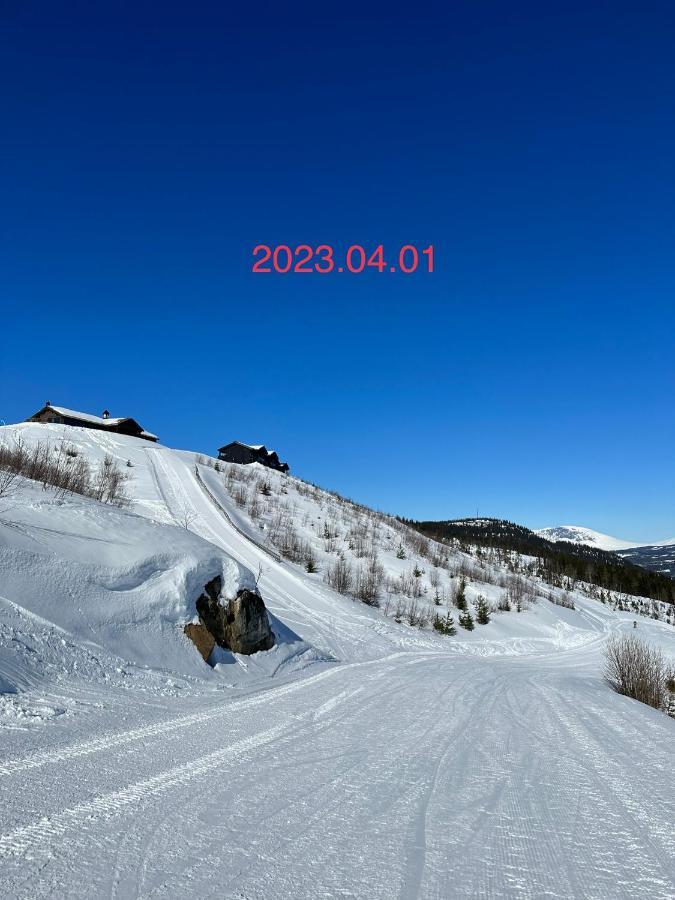 Perfect Moutain Getaway! Beautiful Apartment At Skagahogdi With Panoramic View Gol Eksteriør bilde