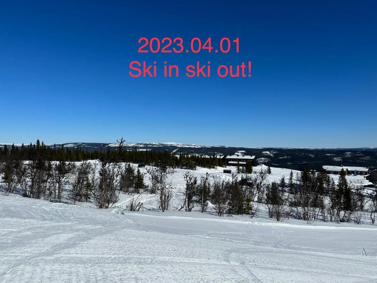 Perfect Moutain Getaway! Beautiful Apartment At Skagahogdi With Panoramic View Gol Eksteriør bilde
