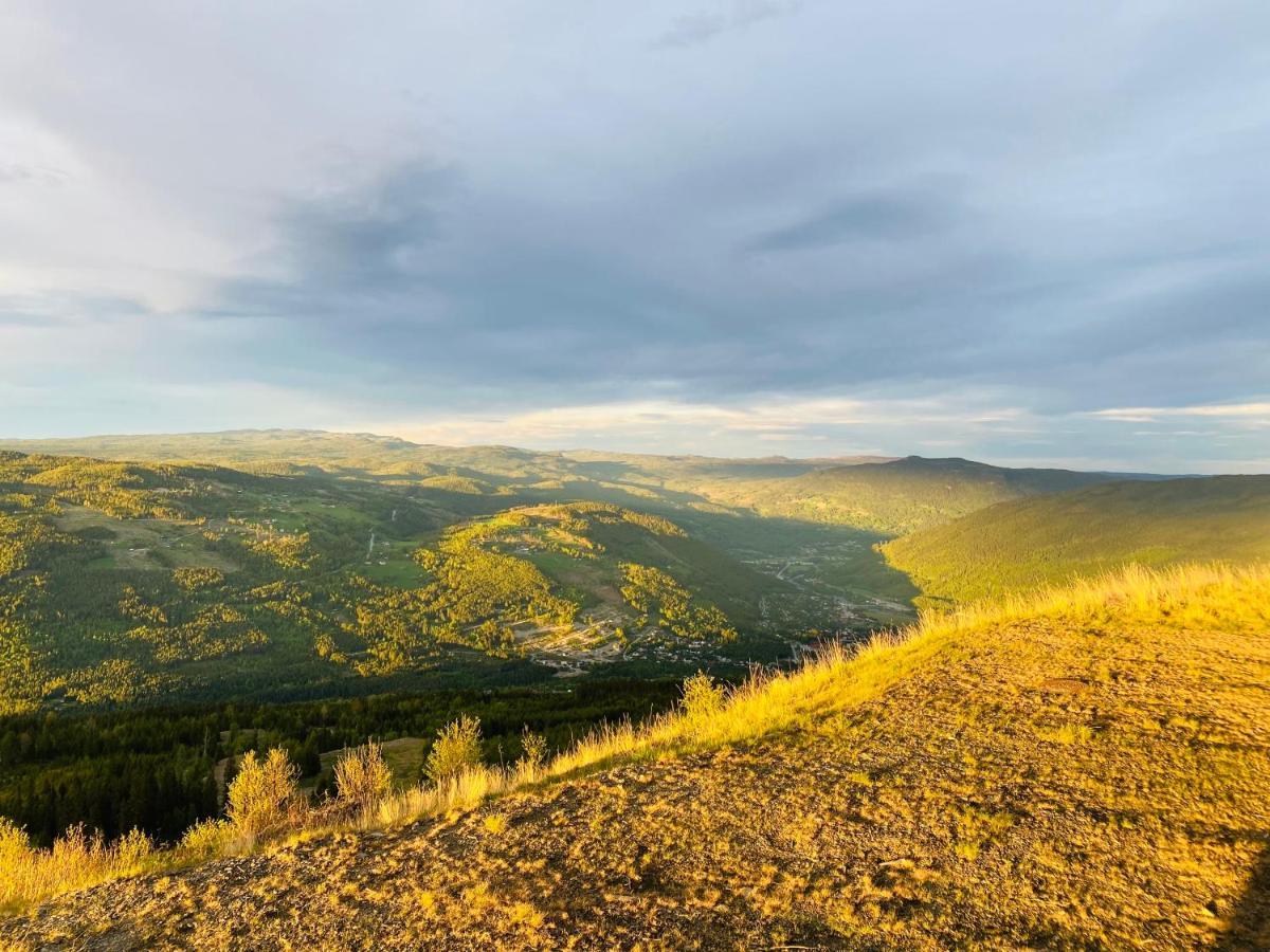 Perfect Moutain Getaway! Beautiful Apartment At Skagahogdi With Panoramic View Gol Eksteriør bilde
