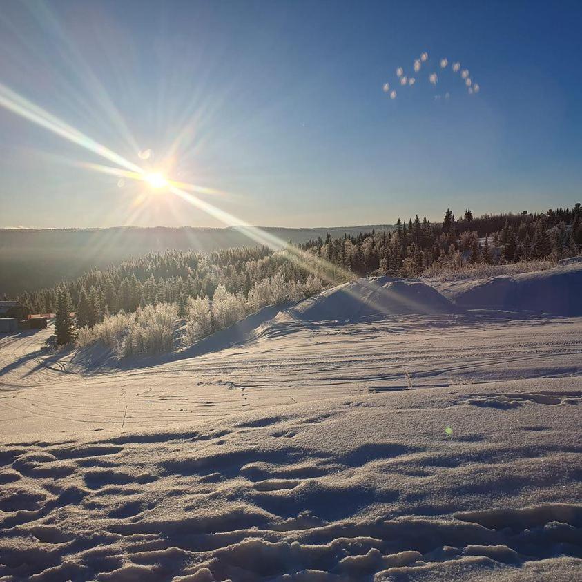 Perfect Moutain Getaway! Beautiful Apartment At Skagahogdi With Panoramic View Gol Eksteriør bilde